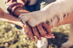 5 manières de montrer à votre chien que vous l'aimez