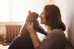 Savez-vous pourquoi votre chat frotte sa tête contre vous ?