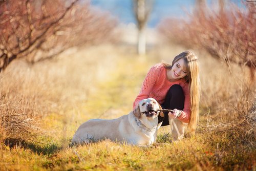 chien en promenade avec sa maitresse