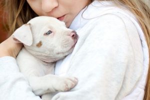 Qui est Temple Grandin ?