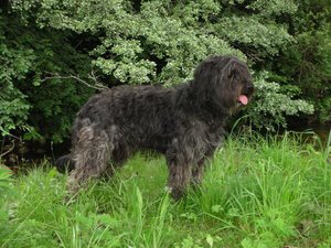 Source: http://www.actiweb.es/deiguna/