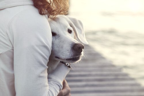 femme qui sert son chien contre elle