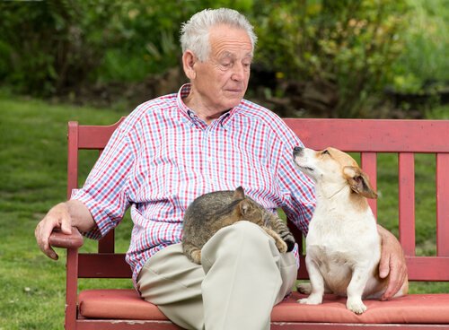 Les animaux de compagnie nous aident à vivre plus longtemps