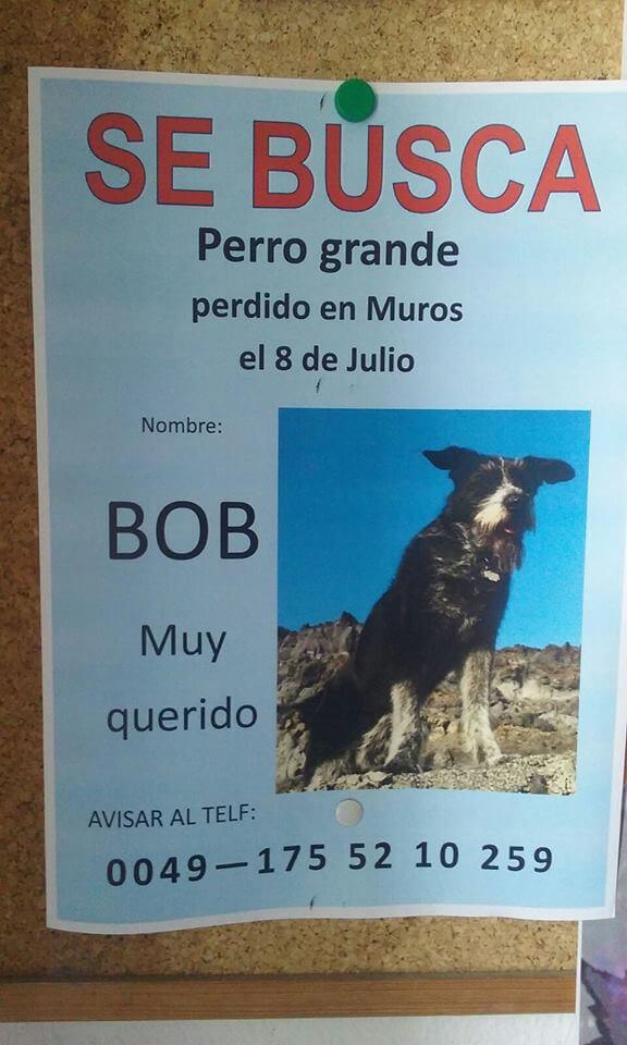 Bob