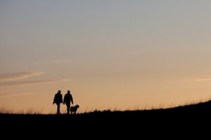Bob, le chien qui s'est perdu en faisant du tourisme
