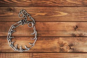 Colliers pour chiens interdits par la loi