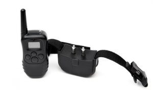 collier anti-aboiement