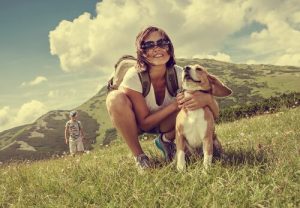 aller à la montagne avec votre chien