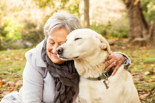 amnésie chez les chiens