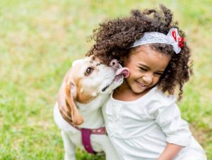 Comment un enfant doit interagir avec un chien ?