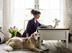 Suis-je prêt à adopter un animal de compagnie ?