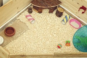 améliorer la cage de votre cochon d'inde