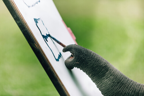 Les éléphants qui peuvent peindre