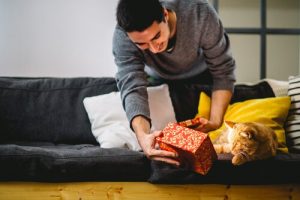 apprendre à un chat à donner la patte