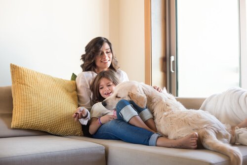 interagir avec un chien