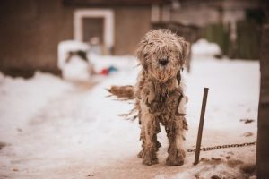 maltraitance déguisée : l'abandon