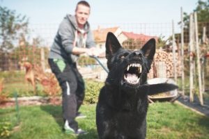Est-il vrai que les chiens perçoivent la peur ?