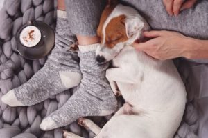 votre chien vous aime s'il dort à côté de vous