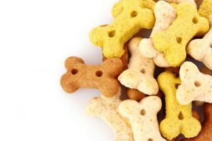Les encas interdits aux chiens
