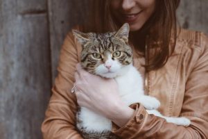 grossesse : chat dans les bras d'une femme enceinte