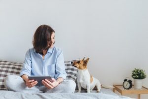 lit de votre chien