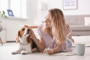 votre chien peut savoir si vous êtes heureux ou pas