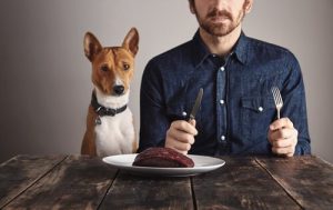 L'importance des protéines chez les chiens