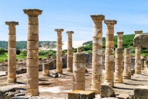 baleines disparues et romains