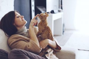Comment bien s'entendre avec un chat