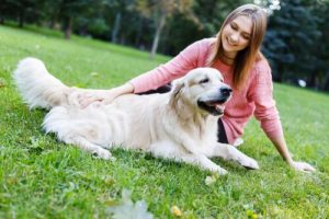 Signes de calme pour éduquer un chien