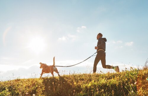 courir avec votre chien