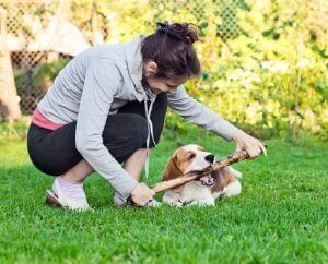 comment jouer avec son chien ?