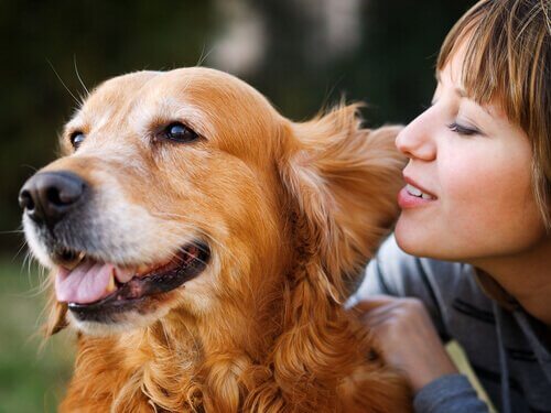 comment les chiens traitent-ils les mots humains ?