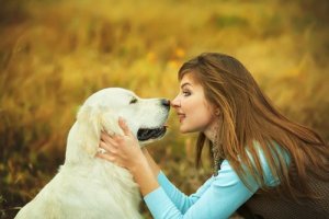 Comment les chiens traitent-ils les mots des humains ?