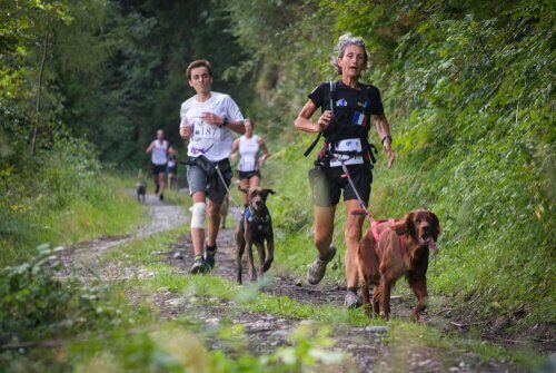 courir avec votre chien