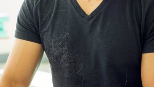 Conseils pour éliminer les poils de votre maison efficacement ?