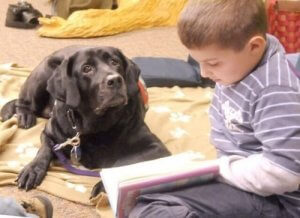 Les chiens facilitent l'apprentissage infantile