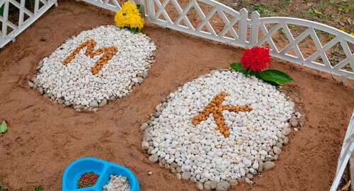 affronter la mort d'un animal de compagnie