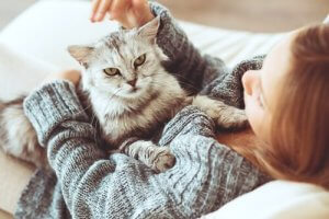 impuissance apprise chez les animaux
