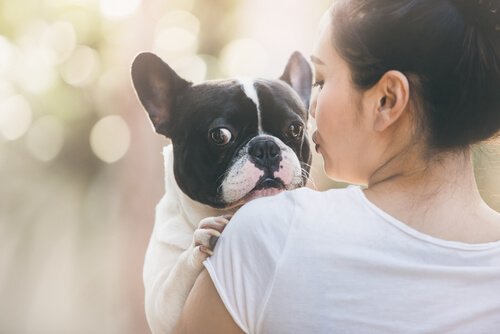 adopter un nouveau chien