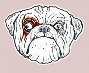 comment faire le portrait de votre chien