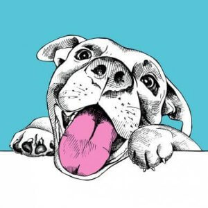Comment dessiner un portrait de votre animal ?