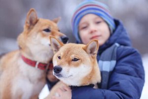 les enfants qui ont un chien sont plus indépendants