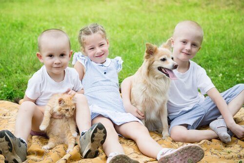enfant et animal