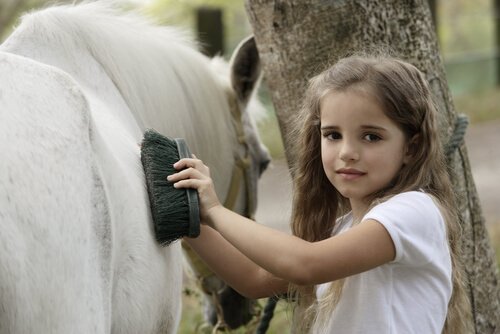 Le pansage de votre cheval