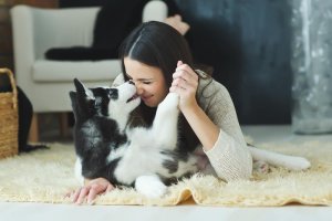 jouer avec votre chien