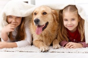 les enfants qui ont des chiens sont plus indépendants