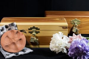 Conseils pour affronter la mort d'un animal de compagnie