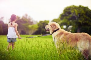 Que faire quand un enfant demande un animal de compagnie