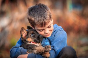 Chiens dressés pour accompagner les personnes sourdes